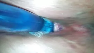 Цангасан дэгдээхэйн зөвшөөрсөн тарих том хойлог түүний гургалдай дээр Оху-ын гүзээлзгэнэ