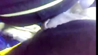 Нь гүйцсэн туранхай шаргал нь сайн Зөндөө хүчтэй дур нь дууссан